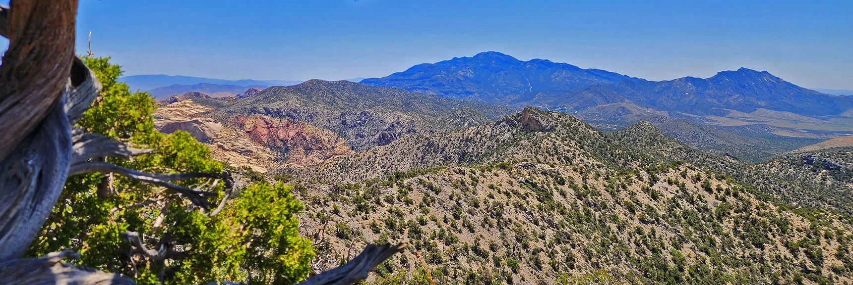 Rounding High Point Above Indecision Peak. South Ridgeline Appears | Mt Wilson to Hidden Peak | Upper Crest Ridgeline | Rainbow Mountain Wilderness, Nevada