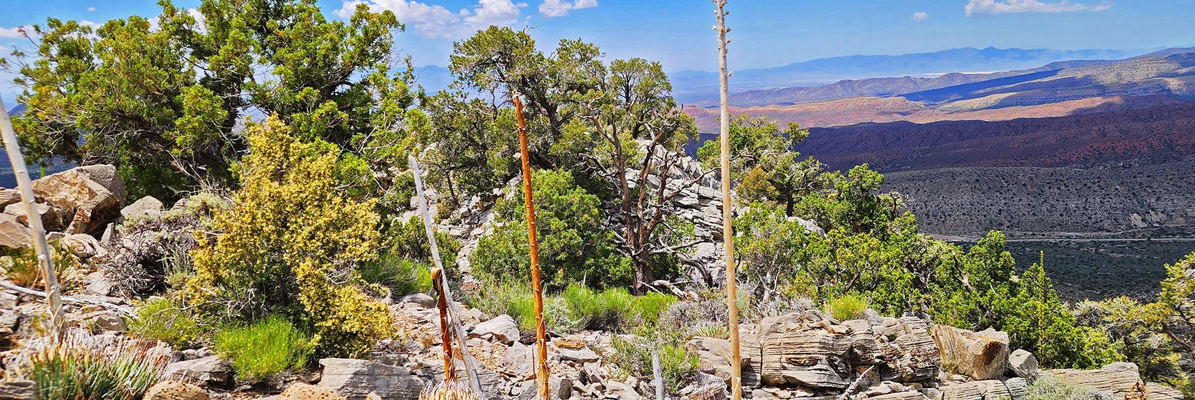 Nearing 6,300ft Point on North Ridge. Just 500ft Elevation Below Upper Ridgeline | Juniper Peak to Mt. Wilson | Rainbow Mountains Upper Crest Ridgeline, Nevada