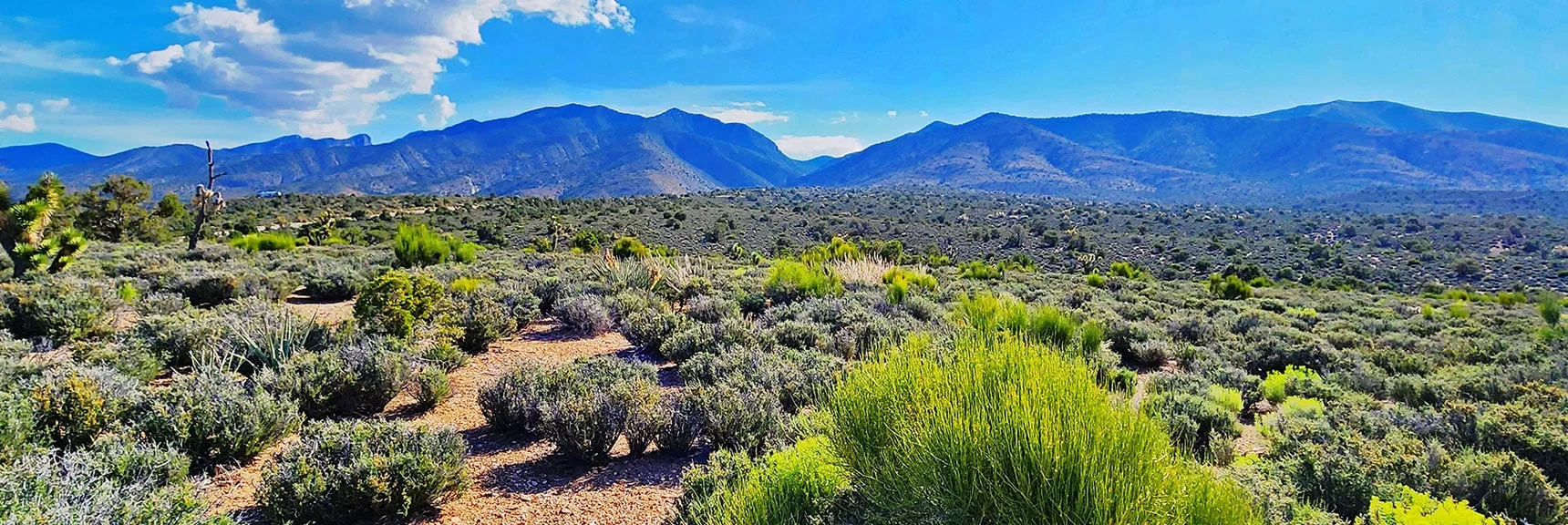 View Toward Rainbow Mts. Upper Crest Ridgeline and Ascent Ridges | Juniper Peak to Mt. Wilson | Rainbow Mountains Upper Crest Ridgeline, Nevada