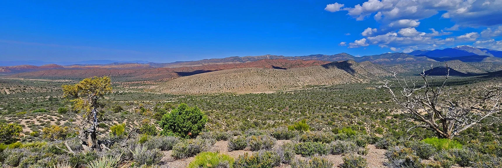 View West Across Lovell Canyon Opens Up While Ascending the North Ridge | Juniper Peak to Mt. Wilson | Rainbow Mountains Upper Crest Ridgeline, Nevada