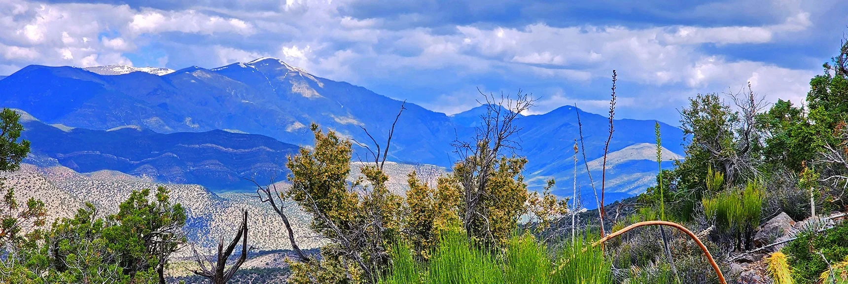 Griffith Peak in Mt. Charleston Wilderness | Juniper Peak to Mt. Wilson | Rainbow Mountains Upper Crest Ridgeline, Nevada