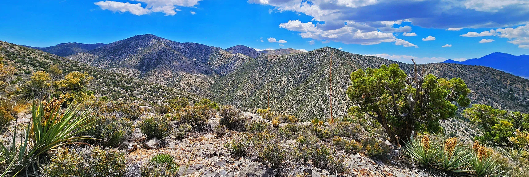 View East Toward Rainbow Mts. Upper Crest Ridgeline | Juniper Peak to Mt. Wilson | Rainbow Mountains Upper Crest Ridgeline, Nevada