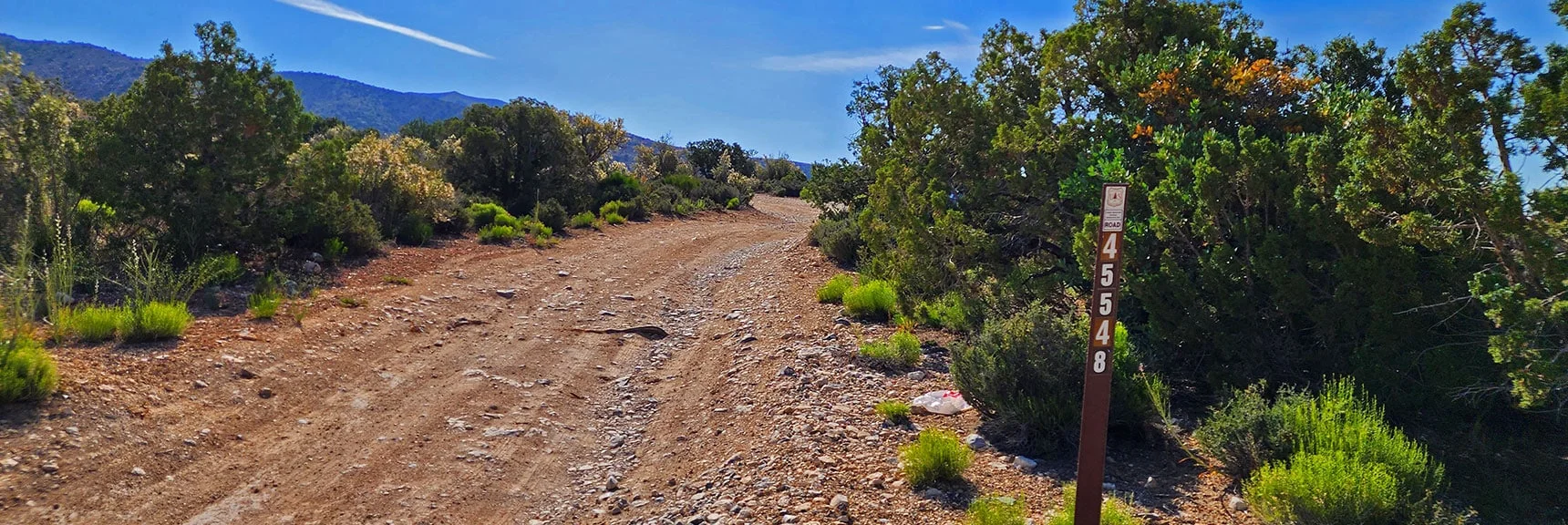 Rd 548 Toward South Ridge of South Spring Canyon Not for Today. | Juniper Peak to Mt. Wilson | Rainbow Mountains Upper Crest Ridgeline, Nevada