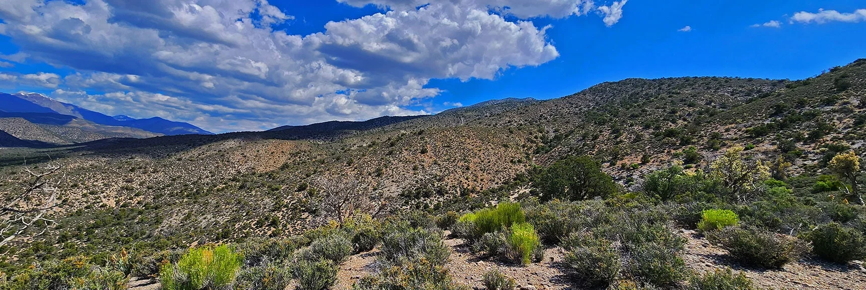 View of Ascent Ridges to the North | Juniper Peak to Mt. Wilson | Rainbow Mountains Upper Crest Ridgeline, Nevada