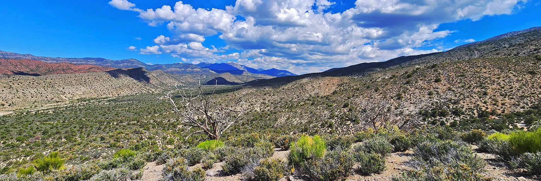 The Ridge a Few Ridges Further North is Another Future Option. | Juniper Peak to Mt. Wilson | Rainbow Mountains Upper Crest Ridgeline, Nevada
