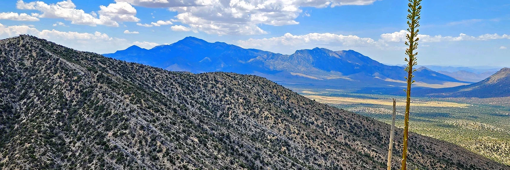 Ridge South of South Spring Canyon is Next Promising Ascent Ridge | Juniper Peak to Mt. Wilson | Rainbow Mountains Upper Crest Ridgeline, Nevada