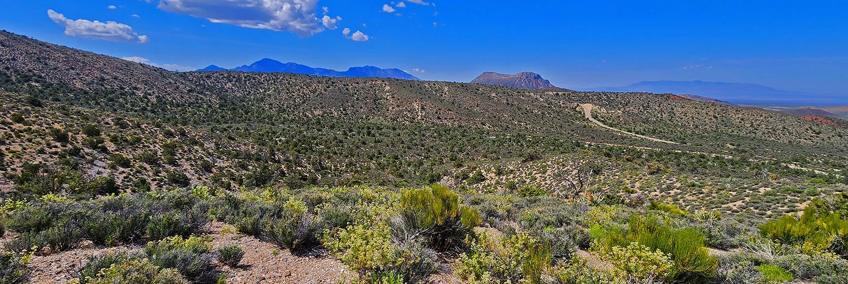 Now on North Ridge of South Spring Canyon, Looking Back Up Toward South Ridge | Juniper Peak to Mt. Wilson | Rainbow Mountains Upper Crest Ridgeline, Nevada