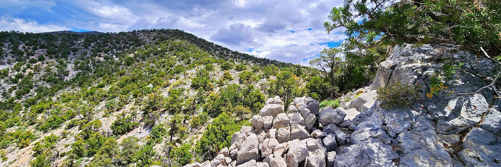Class 4 20ft Barrier Ledge at 6,300ft on North Ridge. Needs Better Rock Climbing Skills | Juniper Peak to Mt. Wilson | Rainbow Mountains Upper Crest Ridgeline, Nevada