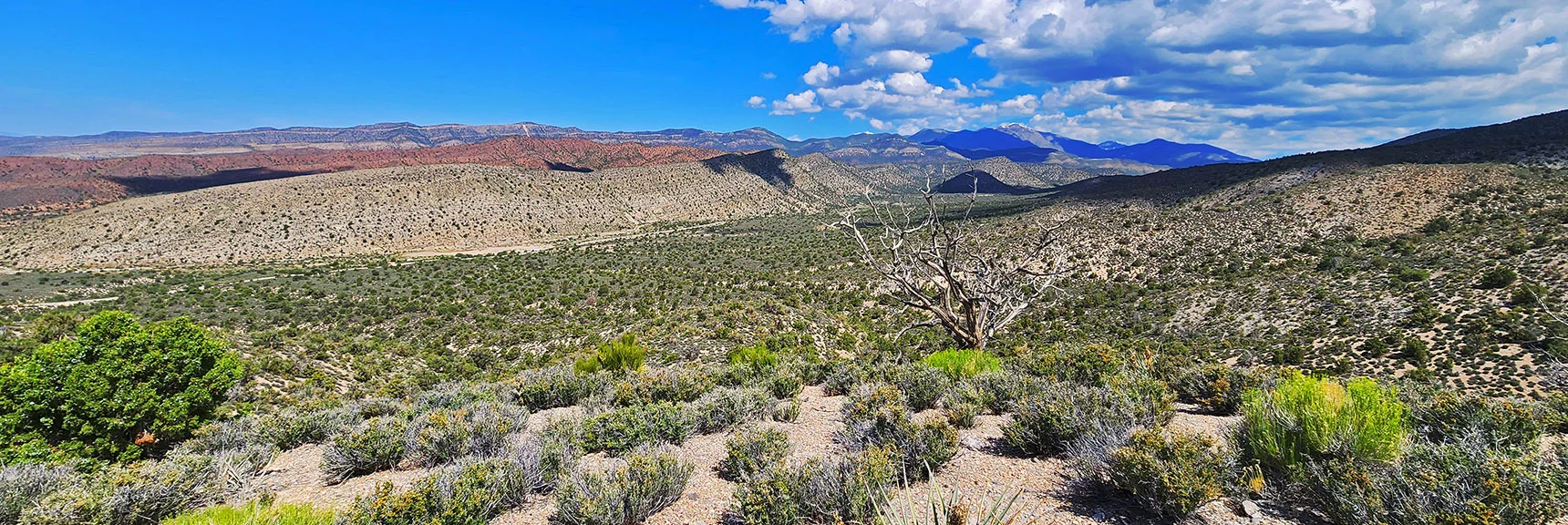 View North Up Lovell Canyon Toward Mt. Charleston Wilderness | Juniper Peak to Mt. Wilson | Rainbow Mountains Upper Crest Ridgeline, Nevada