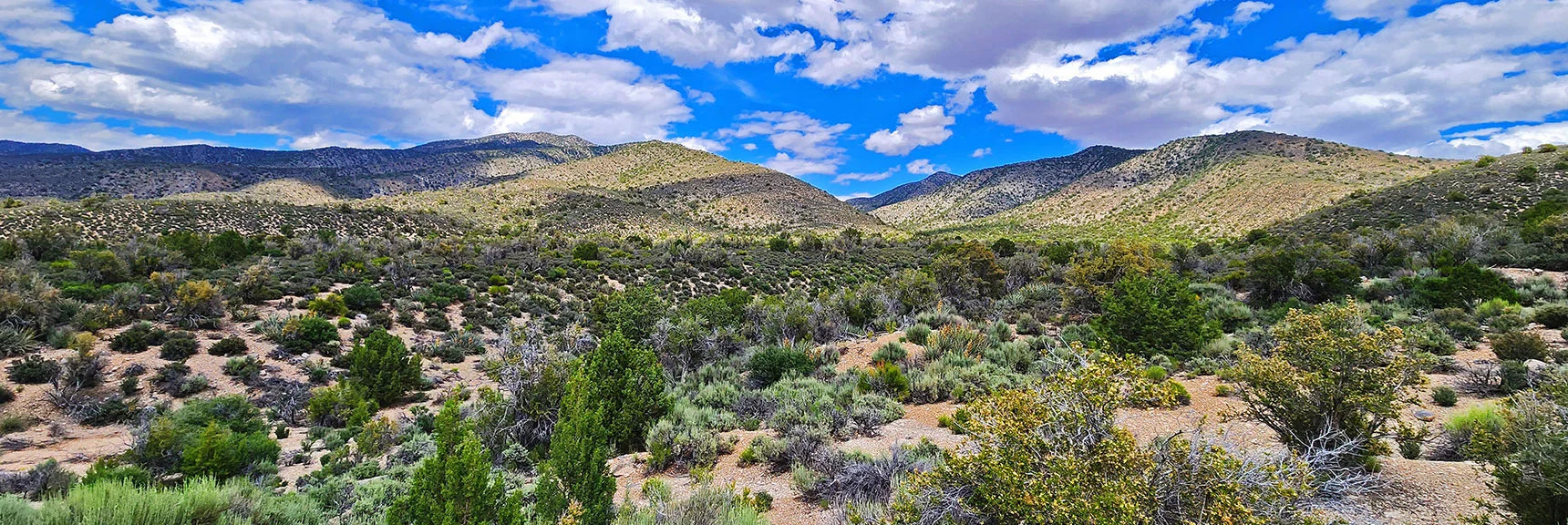 View Back to South Spring Canyon and Upper Crest Ridgeline Approach Ridges | Juniper Peak to Mt. Wilson | Rainbow Mountains Upper Crest Ridgeline, Nevada
