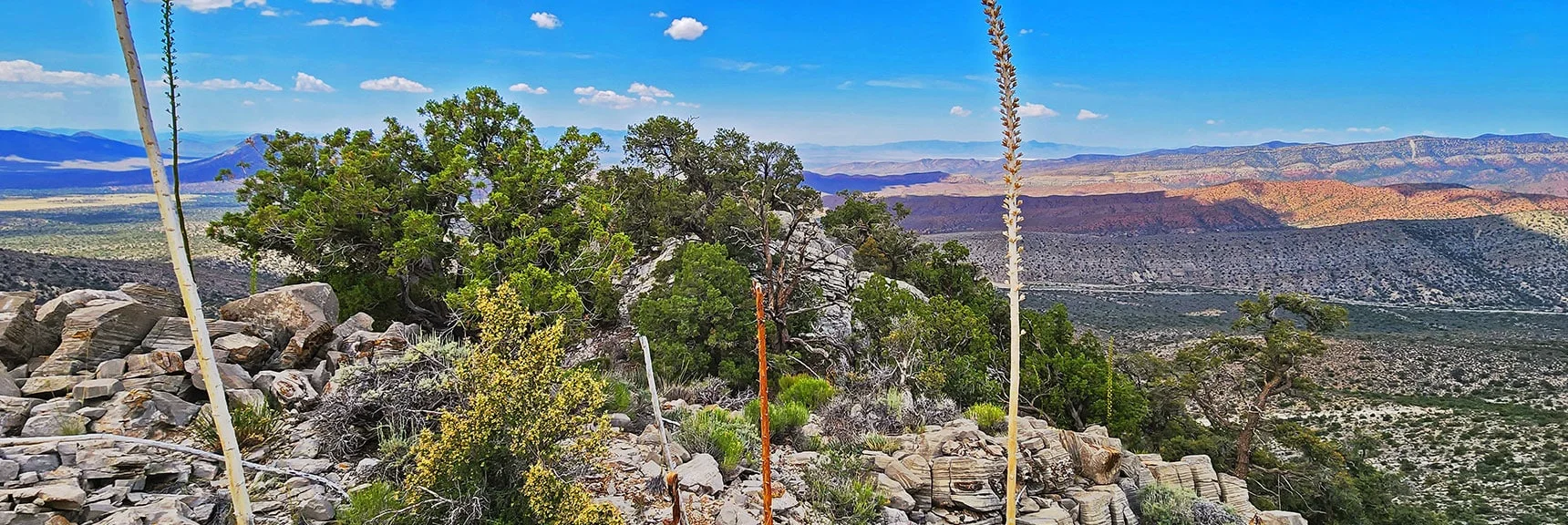 One of a Few High Points on the Ridge. Beautiful Rocks, Plants, Scenery | Juniper Peak to Mt. Wilson | Rainbow Mountains Upper Crest Ridgeline, Nevada