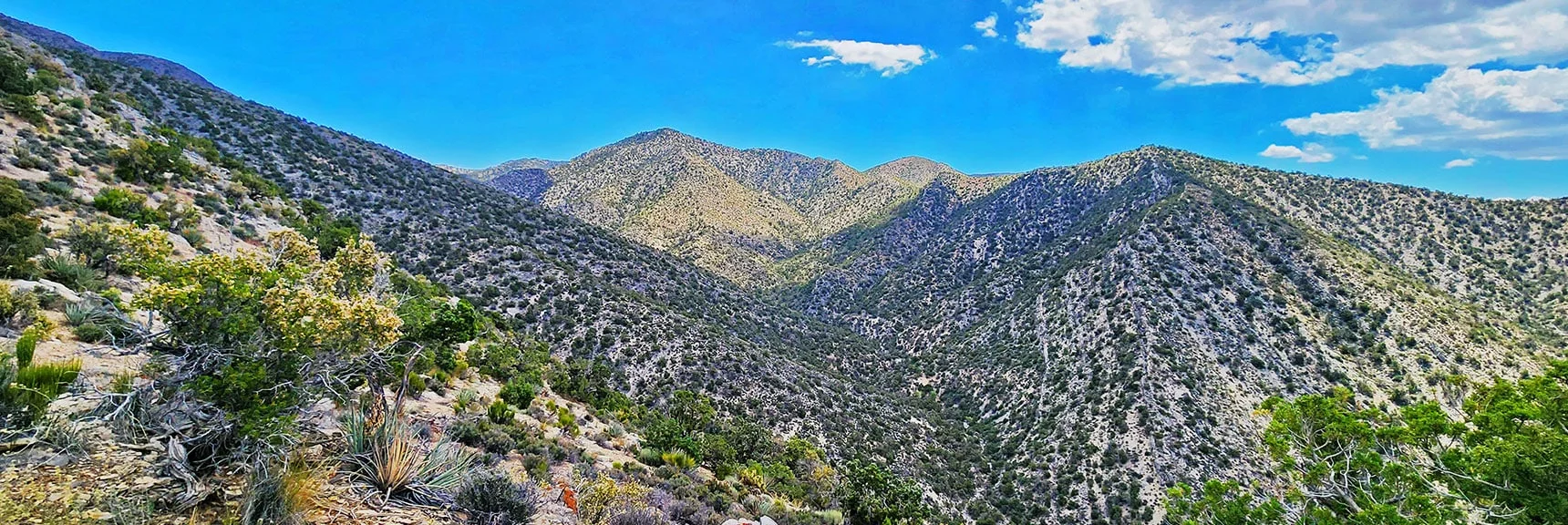 View East Up South Spring Canyon Toward Rainbow Mts. Upper Crest Ridgeline | Juniper Peak to Mt. Wilson | Rainbow Mountains Upper Crest Ridgeline, Nevada