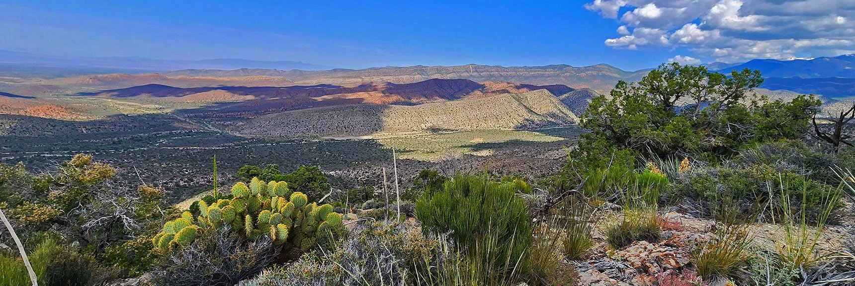 View Northwest Across Lovell Canyon. Mt. Charleston Wilderness Far Right. | Juniper Peak to Mt. Wilson | Rainbow Mountains Upper Crest Ridgeline, Nevada