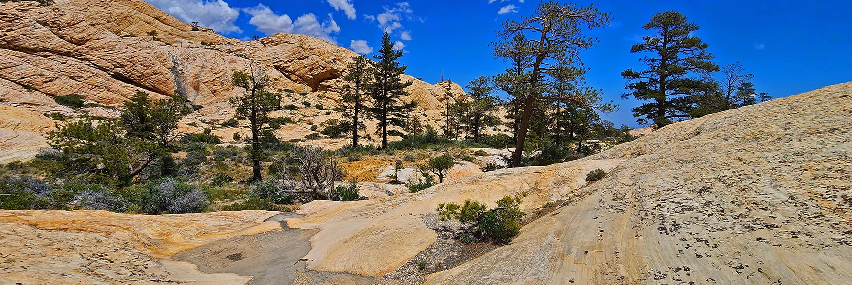 Final Descent into Little Zion. Note Trail Winding Through Meadow | Little Zion | Rainbow Mountain Wilderness, Nevada