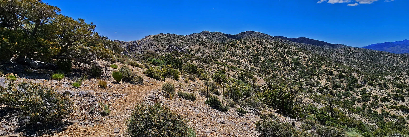 Heading South on Upper Crest Ridgeline Toward Little Zion Trail Connection | Little Zion | Rainbow Mountain Wilderness, Nevada