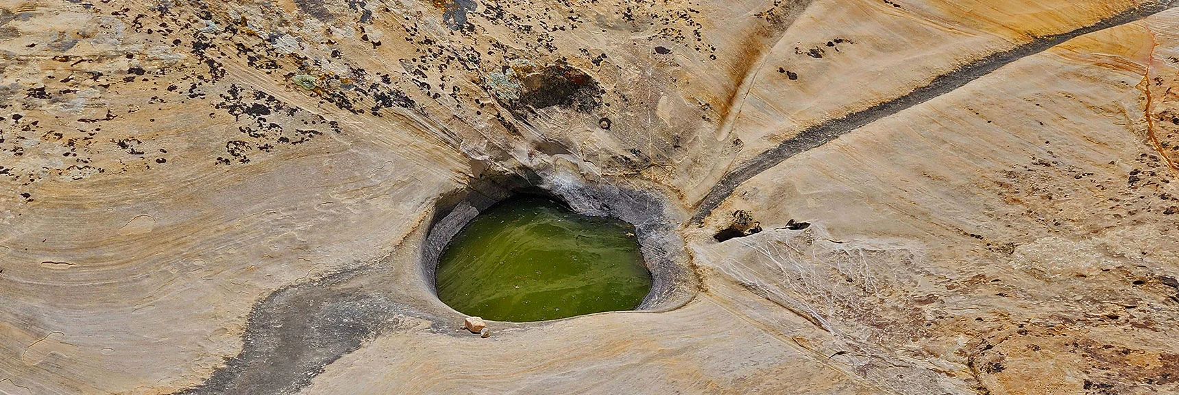 Ephemeral Pools Line the Gully Toward Little Zion | Little Zion | Rainbow Mountain Wilderness, Nevada