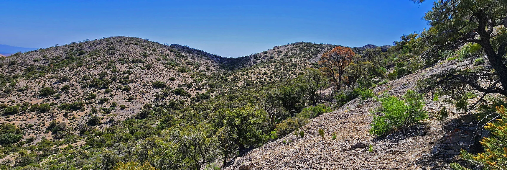 View Across Western Saddle of Wolverine Ridge to Rainbow Mts. Upper Crest Ridgeline | Little Zion | Rainbow Mountain Wilderness, Nevada
