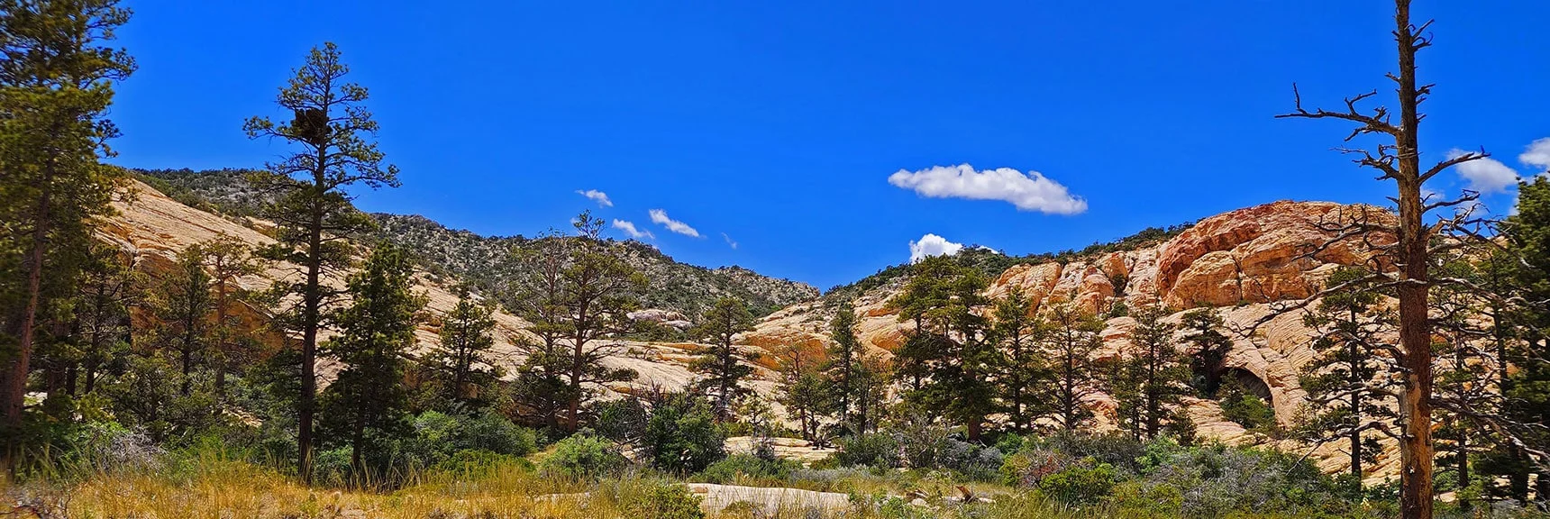 View Back Up Little Zion to Ridgeline from Lower Western Point. Note Arch (Left) | Little Zion | Rainbow Mountain Wilderness, Nevada