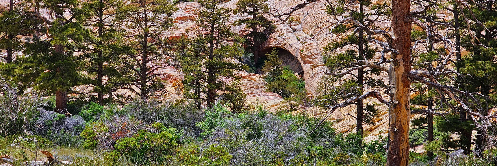 Approaching the Little Zion Arch Formation | Little Zion | Rainbow Mountain Wilderness, Nevada