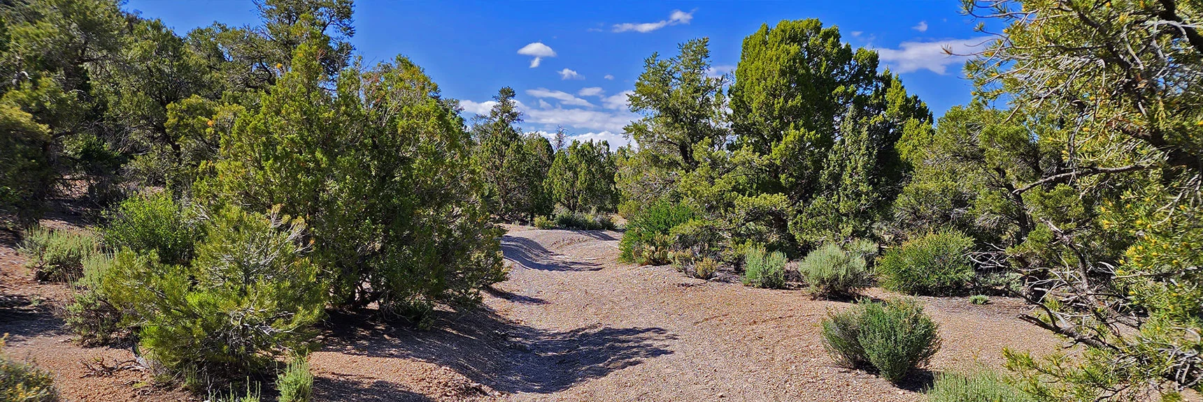 Main Canyon Approach Trail Joins Larger North Trail Skirting Foothills Above Lovell Canyon | Little Zion | Rainbow Mountain Wilderness, Nevada
