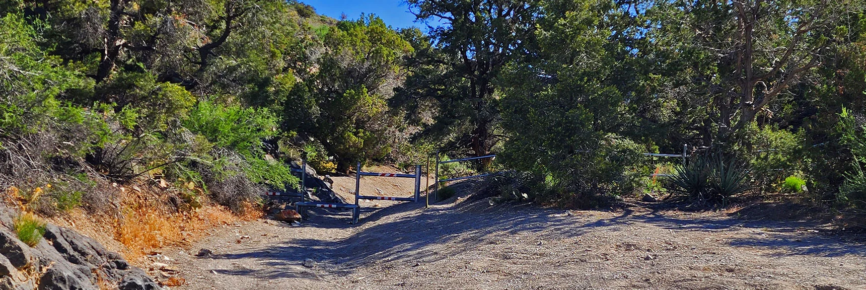 Little Zion Trailhead at Upper End of Rainbow Springs Rd. No Trail Signs | Little Zion | Rainbow Mountain Wilderness, Nevada