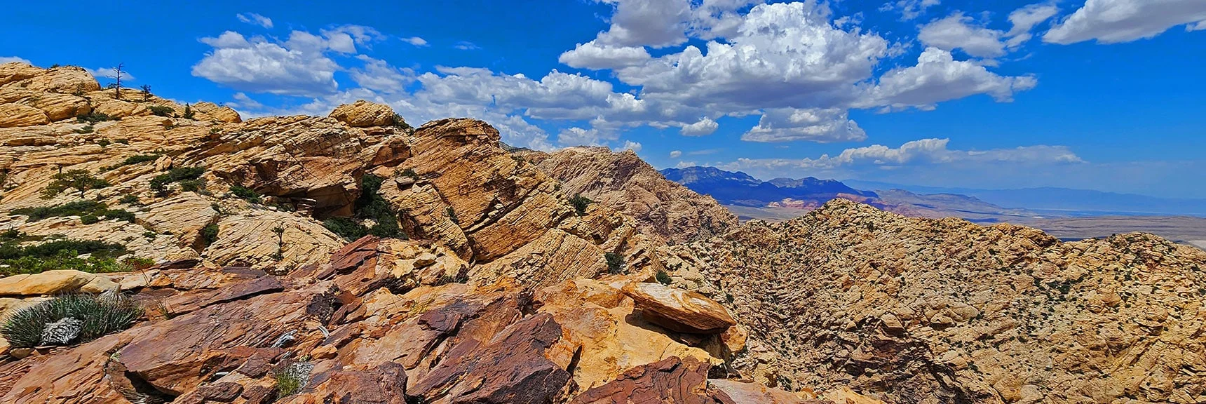 South Wall of Little Zion Plateau. Distant Calico Hills & La Madre Mts. | Little Zion | Rainbow Mountain Wilderness, Nevada