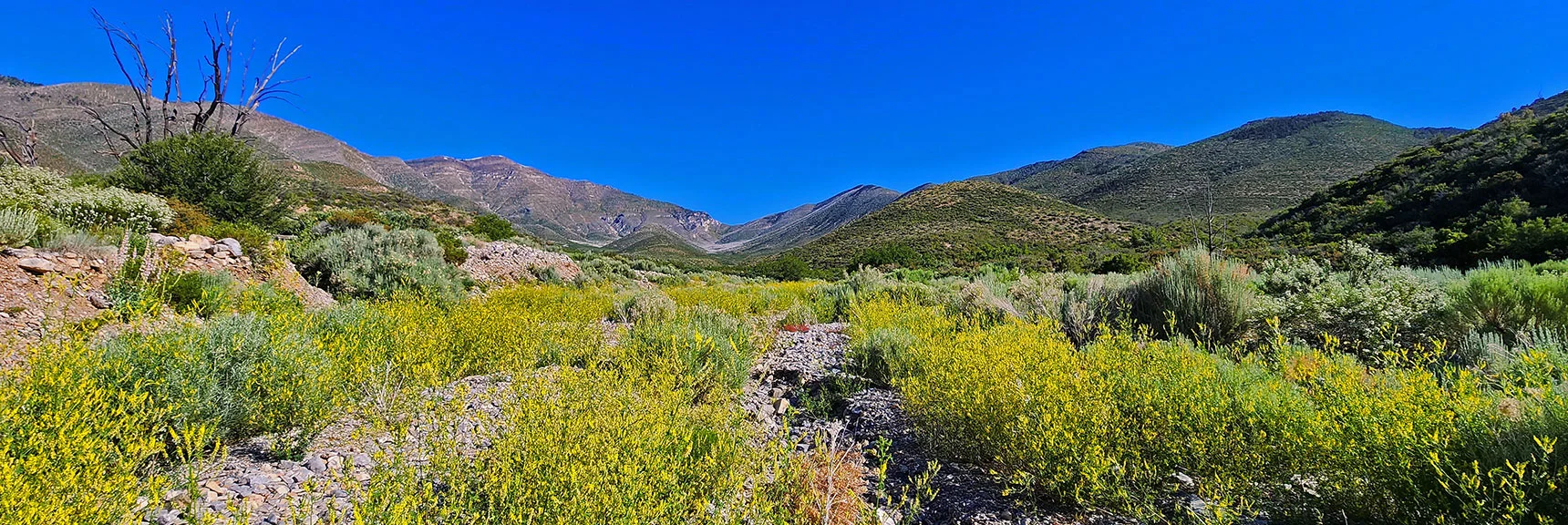 Heading up Right (East) Side of Wash Watching for an Approach Ridge to Wilson Ridge. | Wilson Ridge to Harris Mountain | Lovell Canyon, Nevada