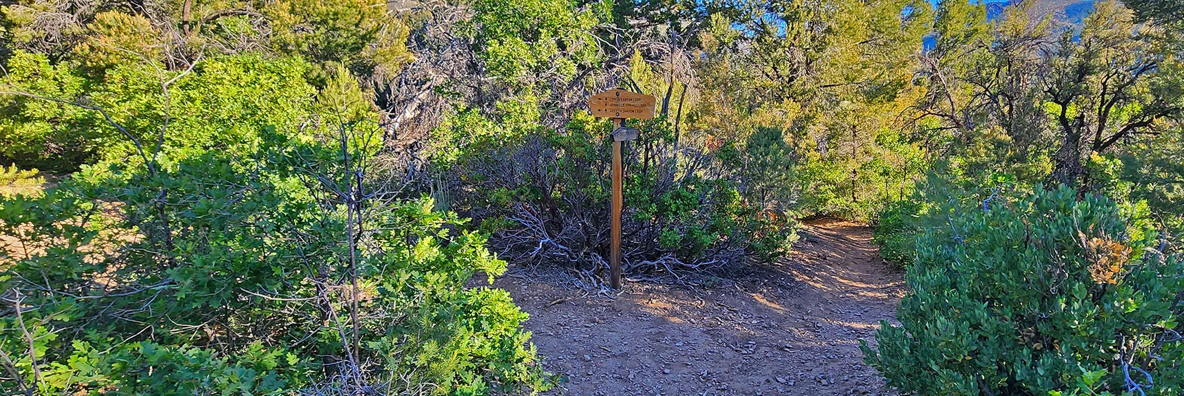Right Turn Down to Lovell Canyon Wash. Left Turn Would Get You to Sexton Ridge | Wilson Ridge to Harris Mountain | Lovell Canyon, Nevada