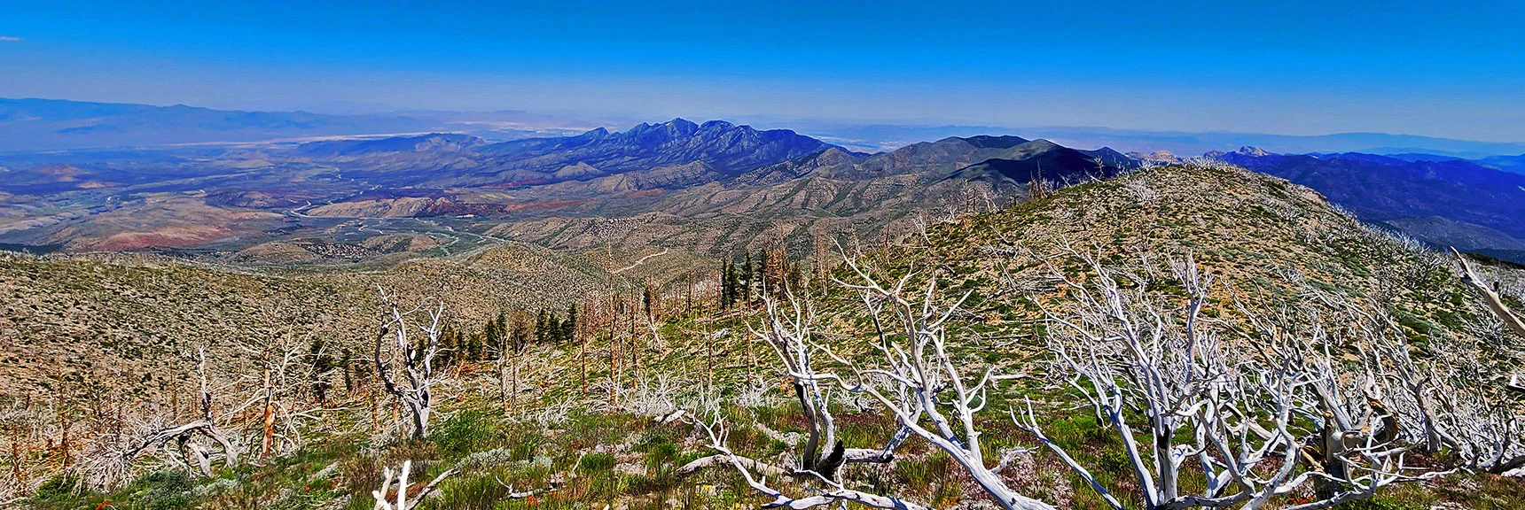Looking Back Down the Wilson Ridge to South High Point, La Madre Mts., Vegas Valley. | Wilson Ridge to Harris Mountain | Lovell Canyon, Nevada