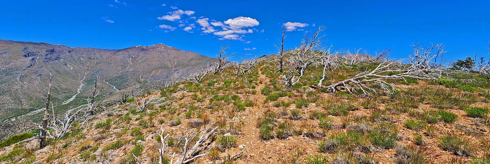 There's a Faint, But Well Built Trail Along This Stretch of Wilson Ridge. | Wilson Ridge to Harris Mountain | Lovell Canyon, Nevada