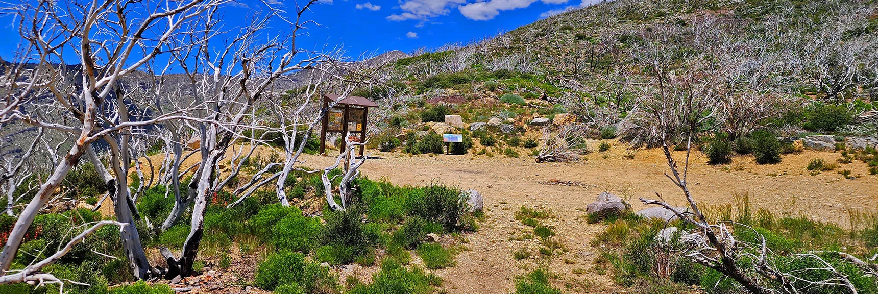 Arrival at Harris Mt. Road and The Griffith Peak Trailhead. | Wilson Ridge to Harris Mountain | Lovell Canyon, Nevada