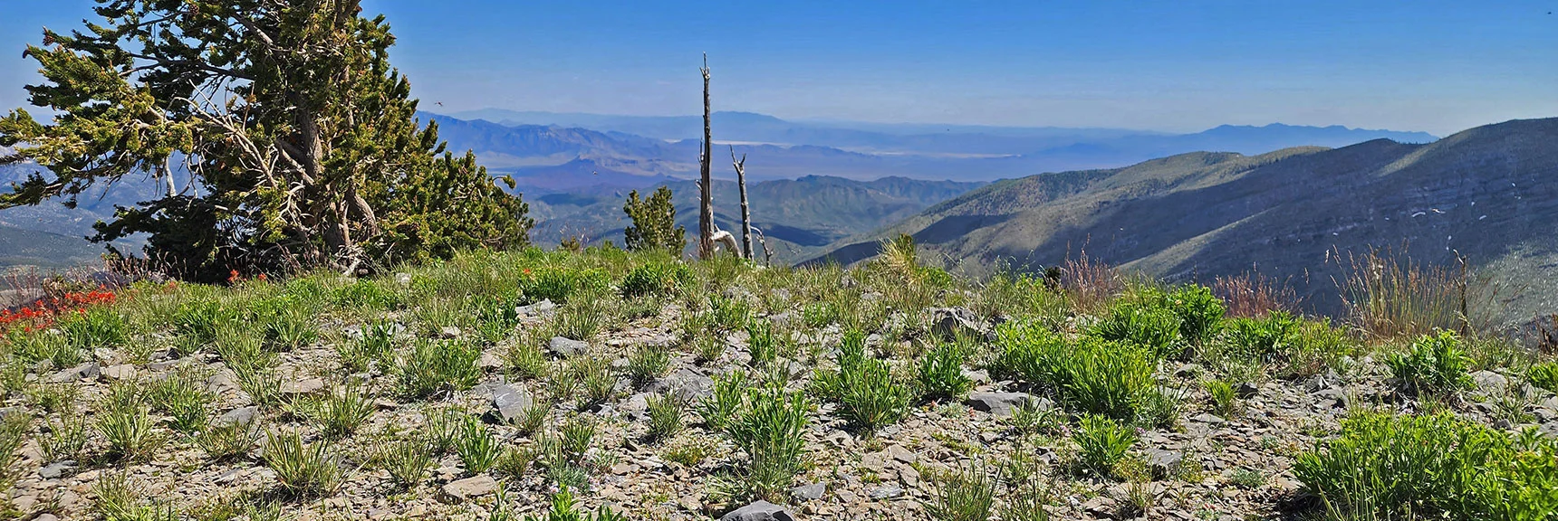 Back Toward Sexton Ridge Ascending to Griffith Peak. | Wilson Ridge to Harris Mountain | Lovell Canyon, Nevada