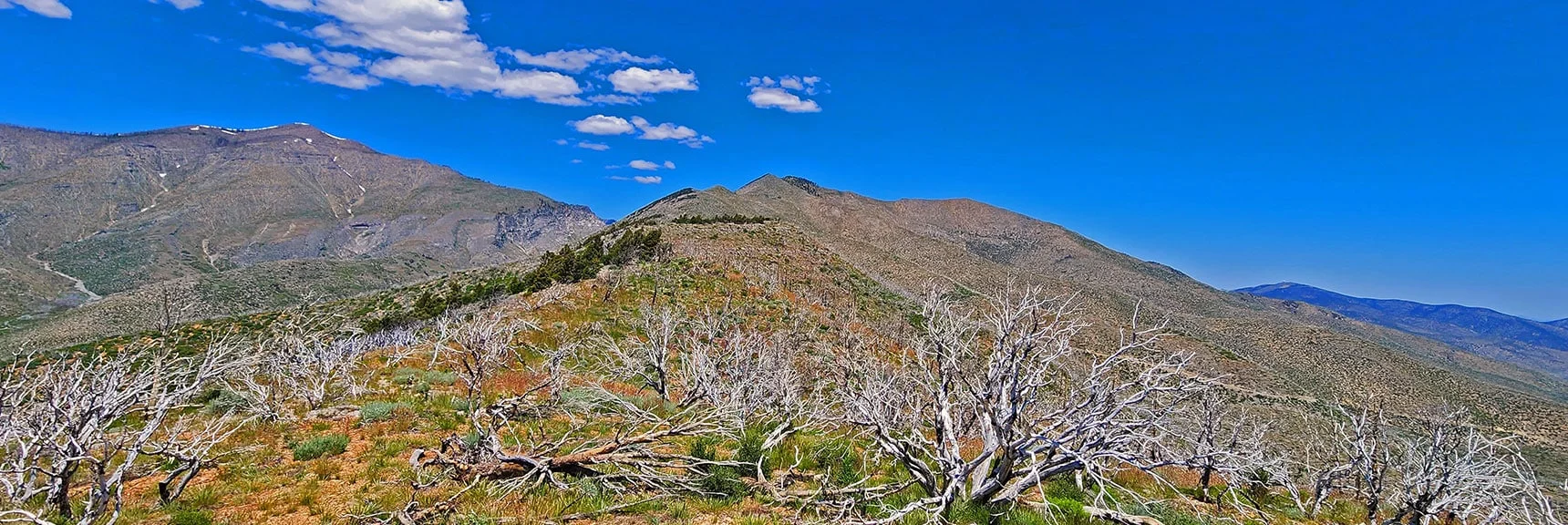 Note Griffith Peak to Left. Look Carefully for a Cave Near Base of Cliffs Below Summit. | Wilson Ridge to Harris Mountain | Lovell Canyon, Nevada