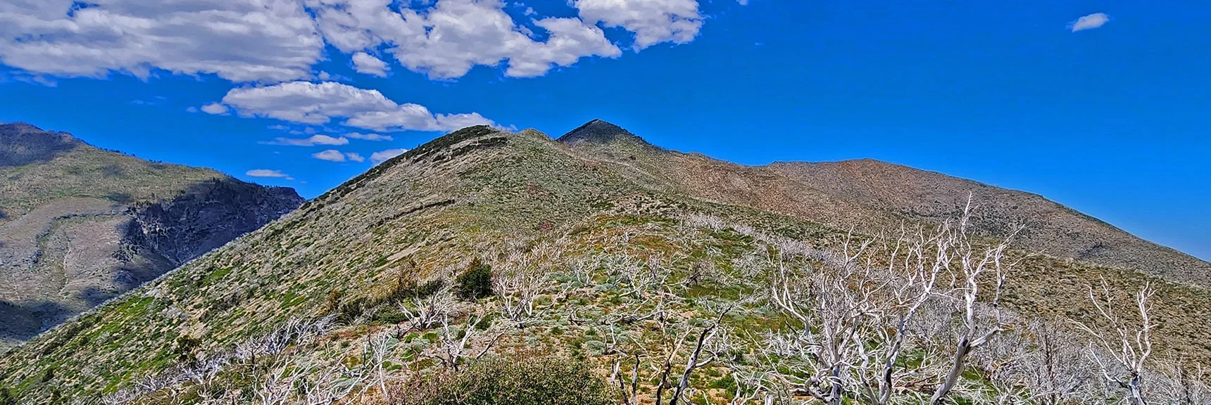 View Up The Final Stretch of Wilson Ridge Toward Harris Mountain. | Wilson Ridge to Harris Mountain | Lovell Canyon, Nevada