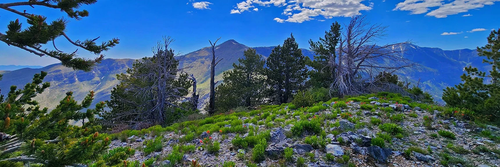 Begin 360 Degree Clockwise View with Griffith Peak. | Wilson Ridge to Harris Mountain | Lovell Canyon, Nevada