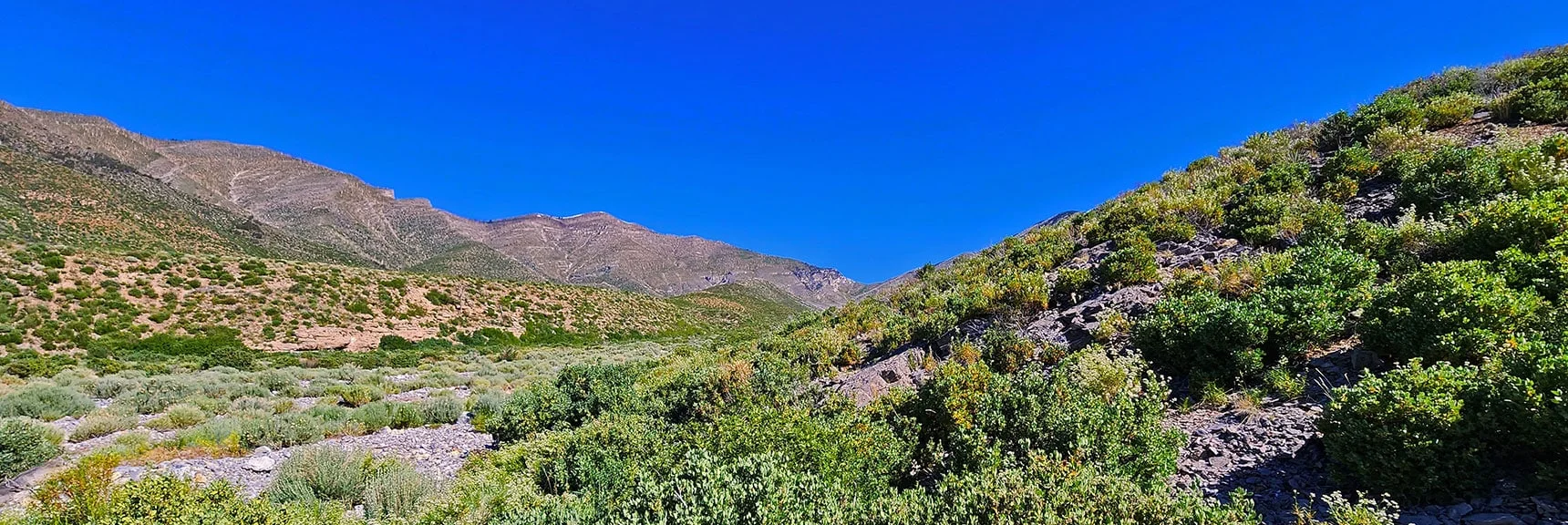 Begin Ascending the Approach Ridge Here. | Wilson Ridge to Harris Mountain | Lovell Canyon, Nevada