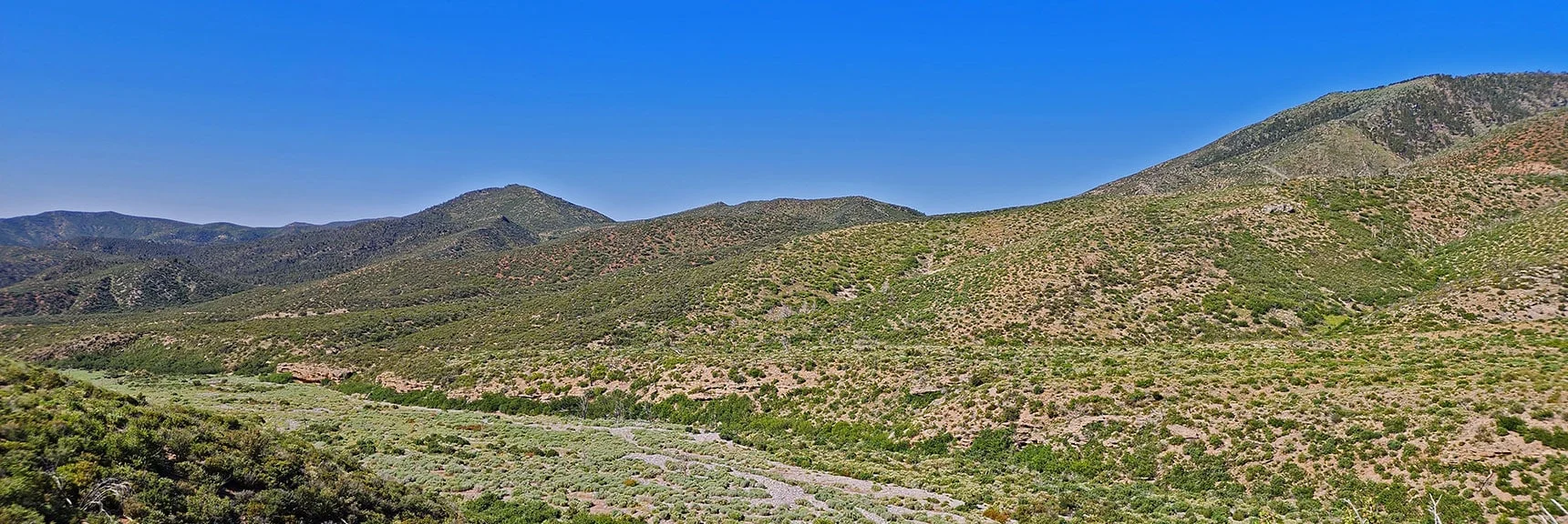 Looking Back, Note the 10-15ft Vertical Walls Across the Wash: Indicate Location of Approach Ridge. | Wilson Ridge to Harris Mountain | Lovell Canyon, Nevada