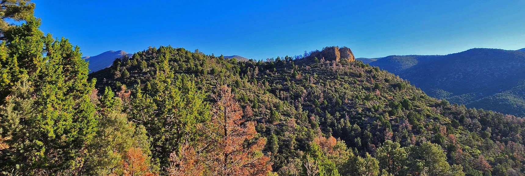 Handy Peak Loop | Lovell Canyon, Nevada