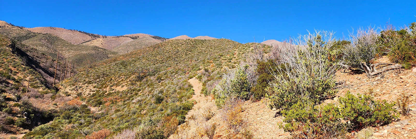 Beyond Wash, Trail Ascends Hills to the North. Sexton Ridge Background. | Schaefer Springs Loop Trail | Lovell Canyon, Nevada