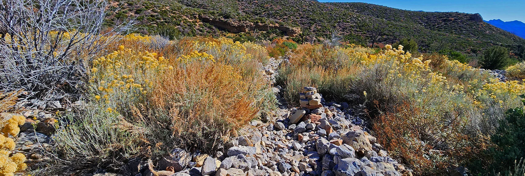Well-Placed Cairns Help Guide Through Wash. Vital When Trail Overgrown. | Schaefer Springs Loop Trail | Lovell Canyon, Nevada