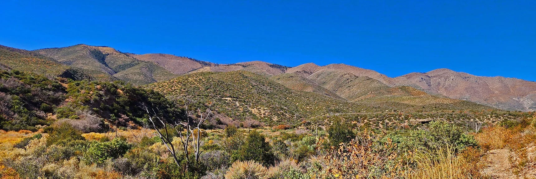 View to Sexton Ridge Across on Canyon's West Side. | Schaefer Springs Loop Trail | Lovell Canyon, Nevada