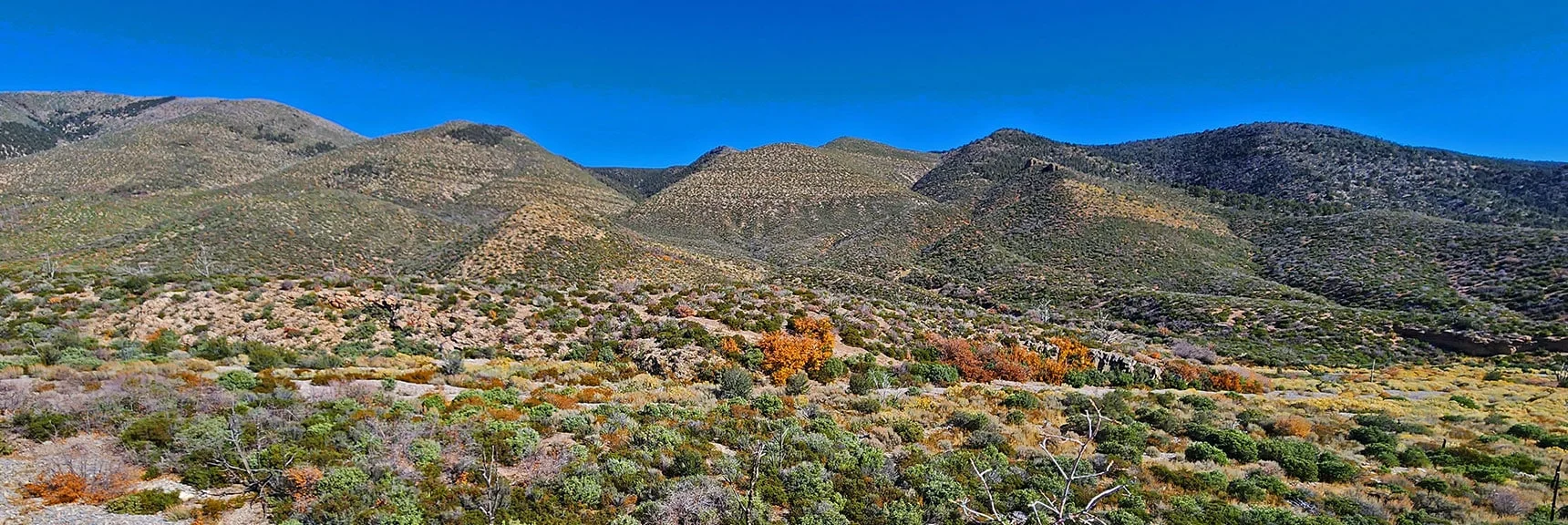 Look Carefully to See Griffith Shadow Loop Trail Ascending Low Ridge in Foreground. | Schaefer Springs Loop Trail | Lovell Canyon, Nevada