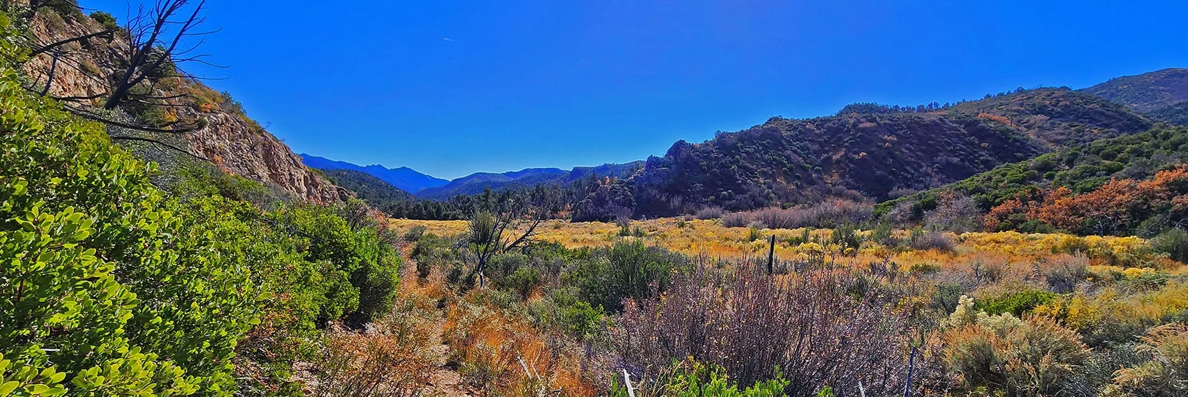 Rocky Ridge Descending to West Side Across Wash is Good Target When Trail in Overgrown. | Schaefer Springs Loop Trail | Lovell Canyon, Nevada