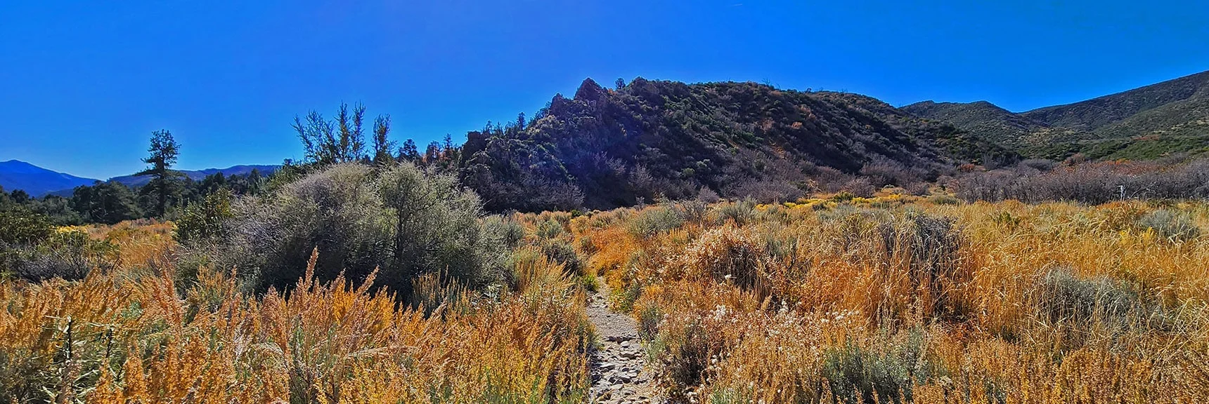 Trail Heading Toward That Rocky Ridge Reference Point on West Side of Wash. | Schaefer Springs Loop Trail | Lovell Canyon, Nevada
