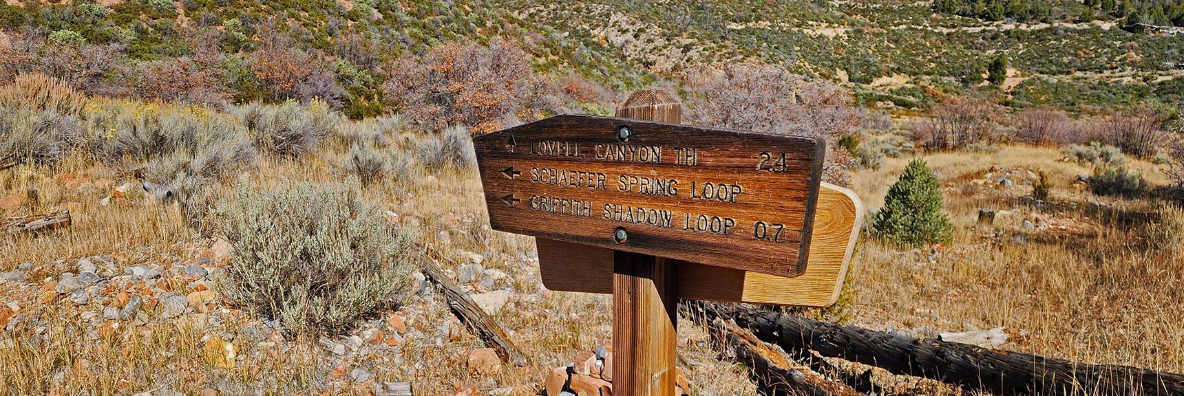 Note: Not the Best Approach to Griffith Shadow Loop, Currently Overgrown at This End. | Schaefer Springs Loop Trail | Lovell Canyon, Nevada