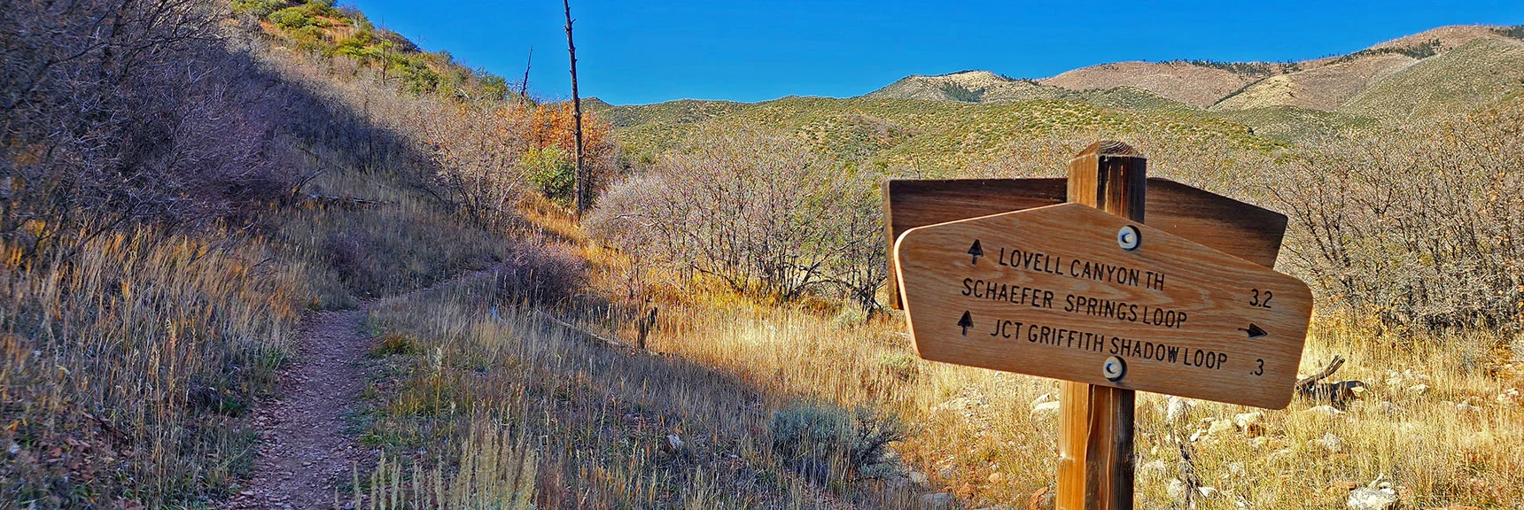 Entrance to Schaefer Springs Loop from North End of Lovell Canyon Loop Trail | Schaefer Springs Loop Trail | Lovell Canyon, Nevada