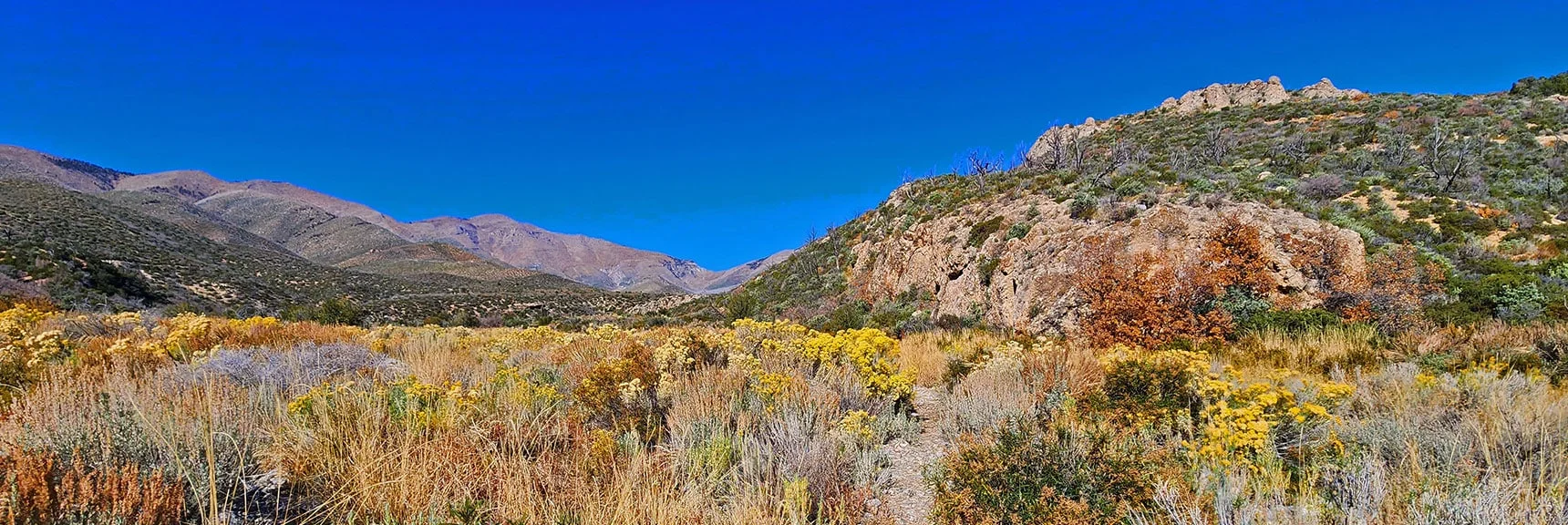Now Crossing Lovell Canyon Main Wash, Looking Back Toward East Side. | Schaefer Springs Loop Trail | Lovell Canyon, Nevada