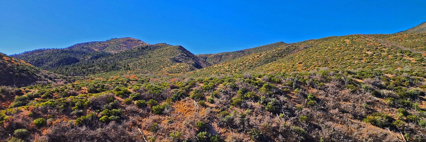 View West to Griffith Shadow Loop First High Point in Clockwise Direction. | Schaefer Springs Loop Trail | Lovell Canyon, Nevada