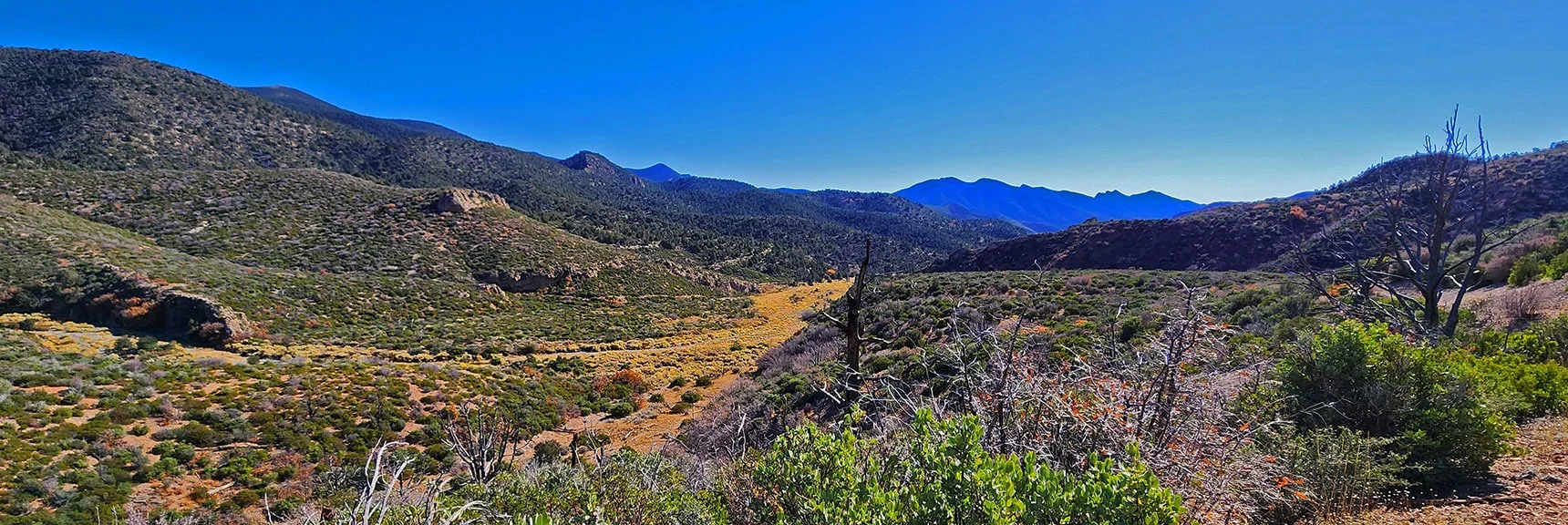 Potosi Mt. Visible Just Beyond Lower End of Lovell Canyon | Schaefer Springs Loop Trail | Lovell Canyon, Nevada