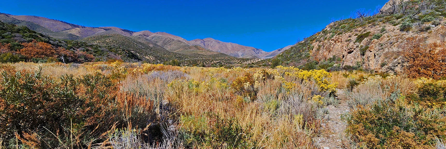 View Up Lovell Canyon from Within Main Wash. | Schaefer Springs Loop Trail | Lovell Canyon, Nevada